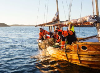 Einfach HUMMER-LECKER: Premiere für Schalentier-Genuss an der schwedischen Westküste
