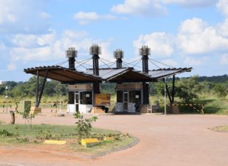 Einige Fakten über den Kruger Nationalpark in Südafrika