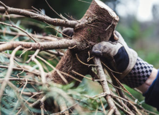 Die Südliche Weinstraße: Ein Winterland für Genießer!