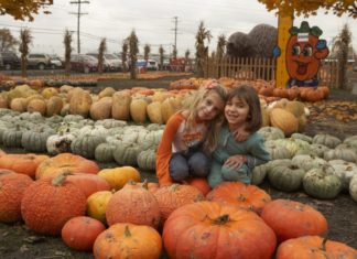 Familienabenteuer im herbstlichen Illinois
