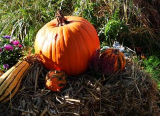 Weissenhäuser Strand: Halloween an der Ostsee