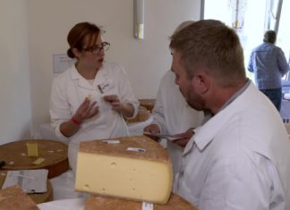 Österreich gewinnt bei 25. Almkäseolympiade in Galtür