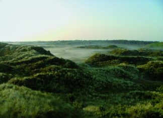 Im Einklang mit der Natur: Nachhaltigkeit auf der Nordseeinsel Spiekeroog