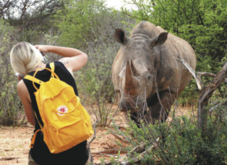 Best of Travel Group veröffentlicht neuen „Afrika“-Katalog