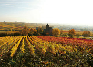 „Wilde Wochen“ – Wildbret-Spezialitäten an der Südlichen Weinstraße