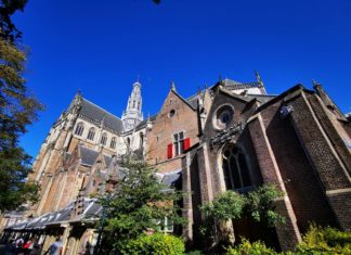 Es muss nicht immer Amsterdam sein: Kurztrip nach Haarlem