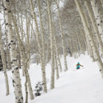 Highlight in Aspen Snowmass: Treeskiing inmitten der verschneiten Espen