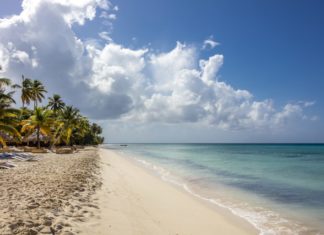 TUI Care Foundation und Reef-World stärken einheimische: Jugendliche beim Korallenriffschutz in der Dominikanischen Republik