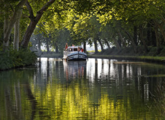 Der „Black Friday“ wird zum GREEN FRIDAY: Locaboat Holidays unterstützt Aufforstung am Canal du Midi