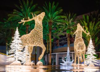 St. Petersburg/Clearwater: Funkelnde Highlights in der besinnlichen Zeit