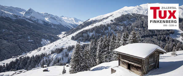 blobid3_1547116083261