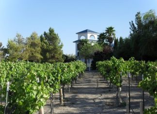 Nevada hat was gegen den Durst: Kulinarischer Roadtrip zu Weingütern und Brauereien