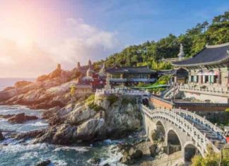 Das Reise-Trend-Ziel Südkorea mit Gebeco erleben