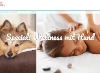 Wellness mit Hund: Verwöhnhotels auf hunde-urlaub.net