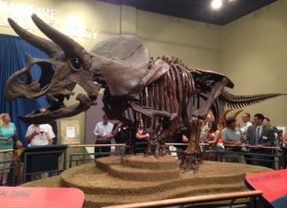 Schneeskulpturen, Sock Monkeys und Dinos: Rockford lädt zu Winterfestivals ein