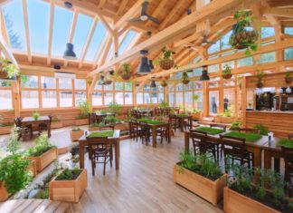 Bergwerke, Baumhäuser und Bierbrunnen Slowenien-Bucketlist für 2020