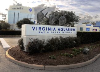 10 Jahre Winter Wildlife Festival: Naturerlebnistouren und Wildtierbeobachtung