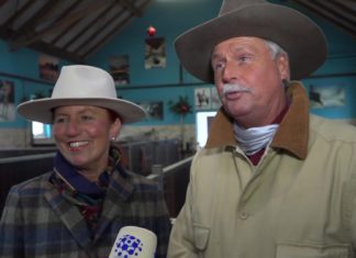 Gut Aiderbichl Ballermann Ranch – Das Zuhause des Pferde – Kleeblattes