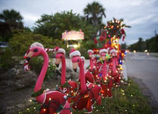 The Beaches of Fort Myers & Sanibel: Weihnachten unter Palmen mit Bootsparaden, Konzerten und bunten Lichtern
