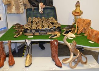 Hände weg von exotischen Souvenirs!