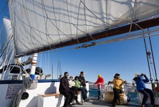 Wenn die Arktis aus dem Winterschlaf erwacht: Hike & Sail in Nordnorwegen