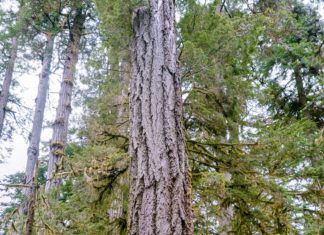 Slow Down Travel: Runter- und rumkommen mit der neuen Marke von Lernidee Erlebnisreisen