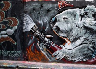 Bäume pflanzen für Koalas +++ Malen für den guten Zweck +++ Frauenpower in Feuerwehruniform