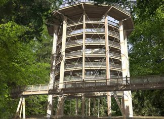 Baustart am Baumwipfelpfad Elsass – die Bauarbeiten zum Baumwipfelpfad Elsass beginnen