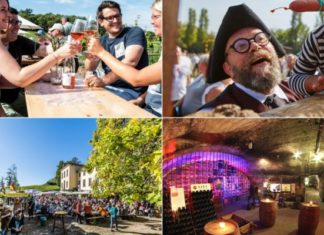 Wo edle Tropfen und zarte Blüten im Mittelpunkt stehen – An der Südlichen Weinstraße wird das ganze Jahr über gefeiert