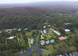 ReiseSprechstunde: Nature is back – Victoria nach den Buschfeuern