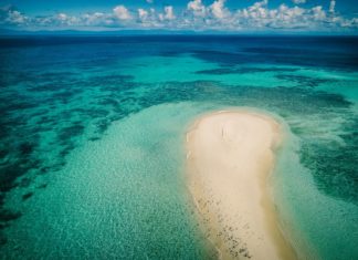 Queensland virtuell bereisen: Koalas beobachten, Wasserfälle bestaunen und am Great Barrier Reef abtauchen