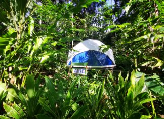 Glamping mitten im Dschungel am Traumstrand von Costa Rica!