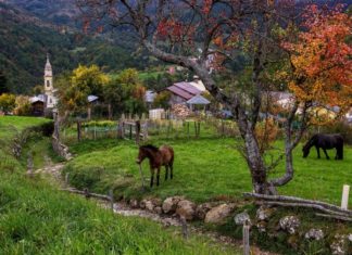Ligurien im Hinterland: Von Bonbonfarben zu Goldgelb bis Haselnussbraun