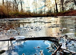 Berlin natürlich frostig erleben: Der Wuhletal- Wanderweg
