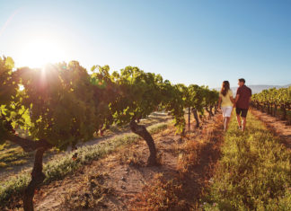 Weingut-Hopping in Queensland