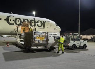 Condor hebt für DHL Express ab