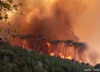 Südafrika: Der Tafelberg in Kapstadt brennt!