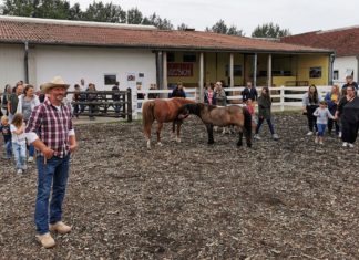 Zu Gast bei Fridolin, Schnütchen & Co.