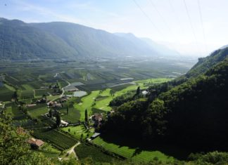 Golf und Wellness im Südtiroler Hotel Hohenwart