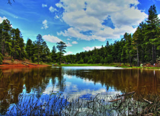 Diese fünf Orte in Arizona sind unerwartet grün