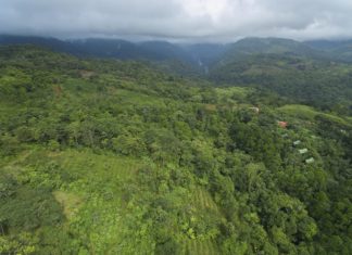 travel-to-nature eröffnet erfolgreich Regenwaldschule in Costa Rica