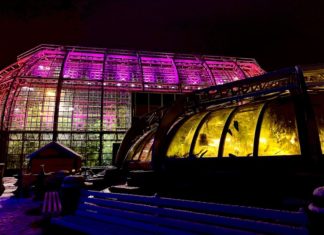 10 Millionen Lichter im Christmas Garden Berlin