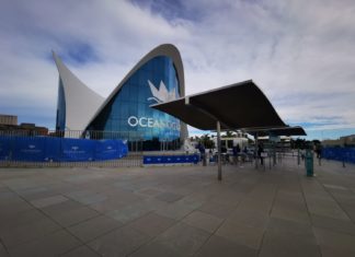 Valencia: Eintauchen in das größte Aquarium Europas