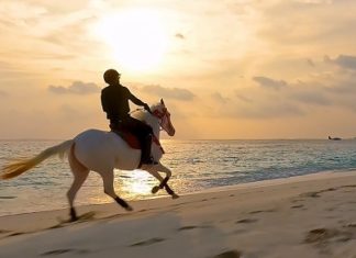 Bitte Aufsatteln – Siyam World eröffnet erste Pferderanch auf den Malediven