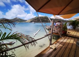 St. Martin: Lobster ganz frisch!