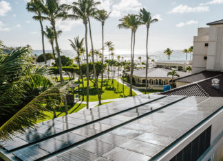 Anlässlich des 35. Jubiläums weiht das Bucuti & Tara Beach Resort ein neues Naturschutzgebiet ein