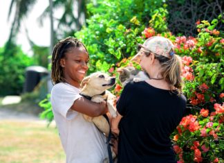 Remote Work auf Barbados – weiße Sandstrände, schnelles Internet und interkultureller Austausch