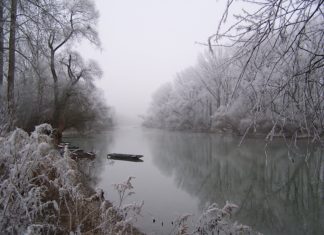 Auf einen Besuch in die winterliche Südpfalz