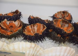 Monaco kulinarisch entdecken