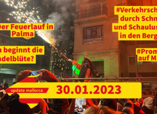 Update Mallorca: Noch mehr Schnee und wann ist eigentlich Mandelblüte?